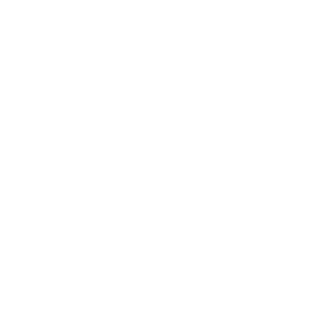 Manual & Electric Pallet Trucks Icon