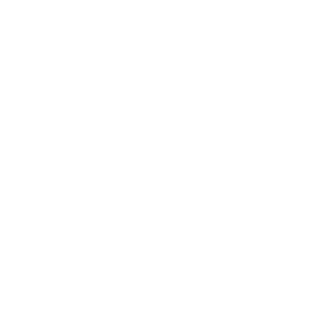 Stand Up Side Loader Icon