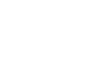 Rotating and Non Rotating Telehandler Icon